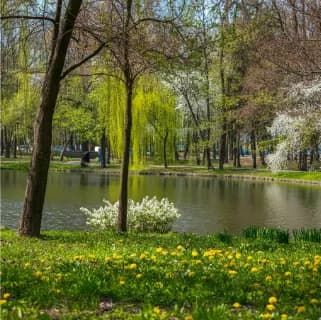 Парк у озера по короткому промпту